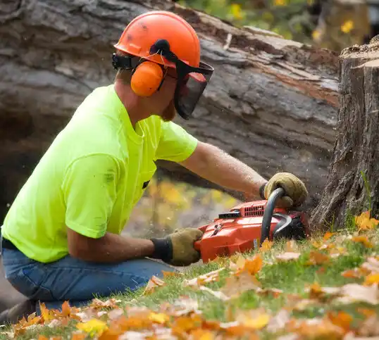 tree services West Ishpeming